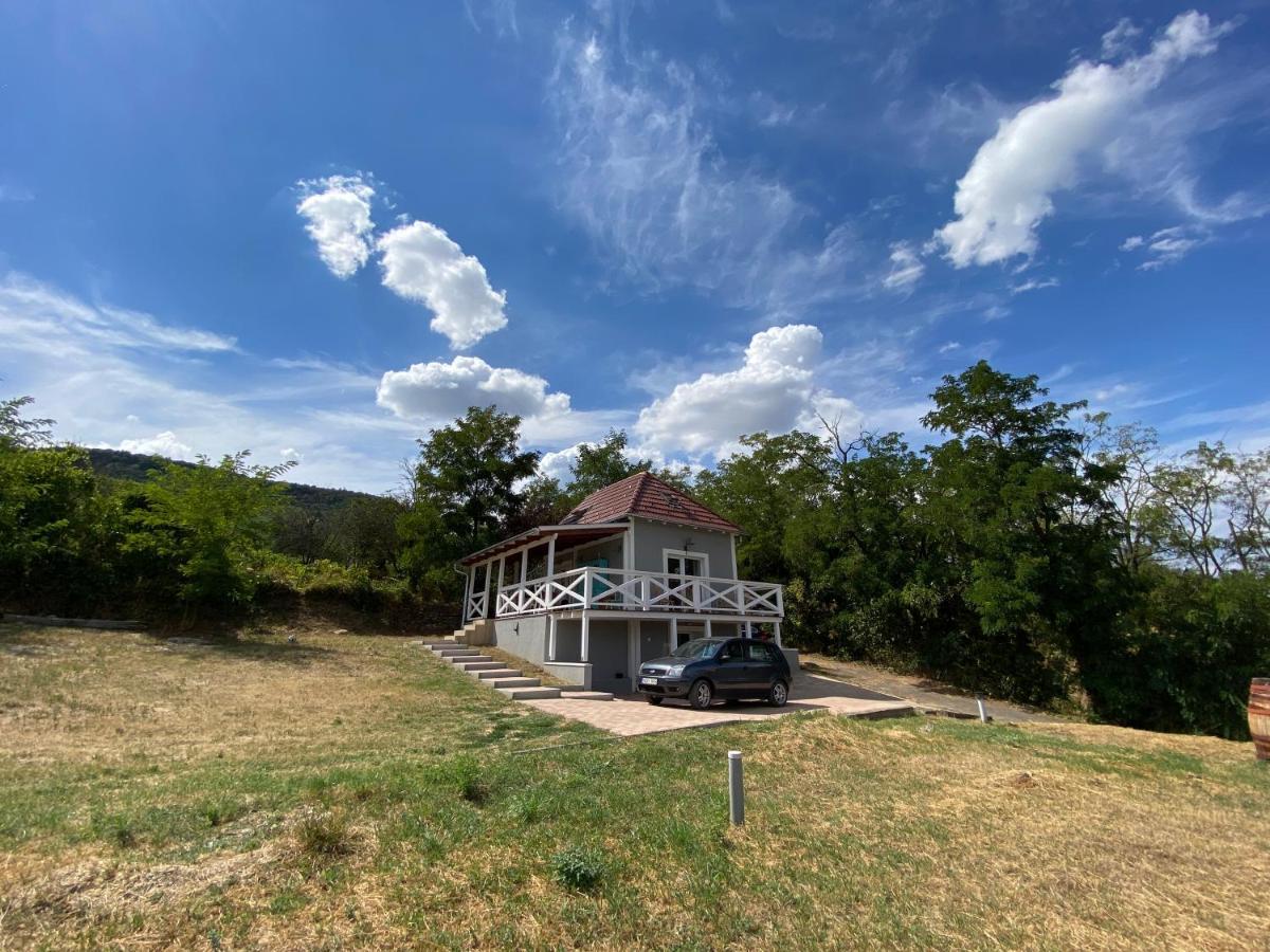 Dandelion "Zsalya" Vendeghaz Villa Kisapati Dış mekan fotoğraf